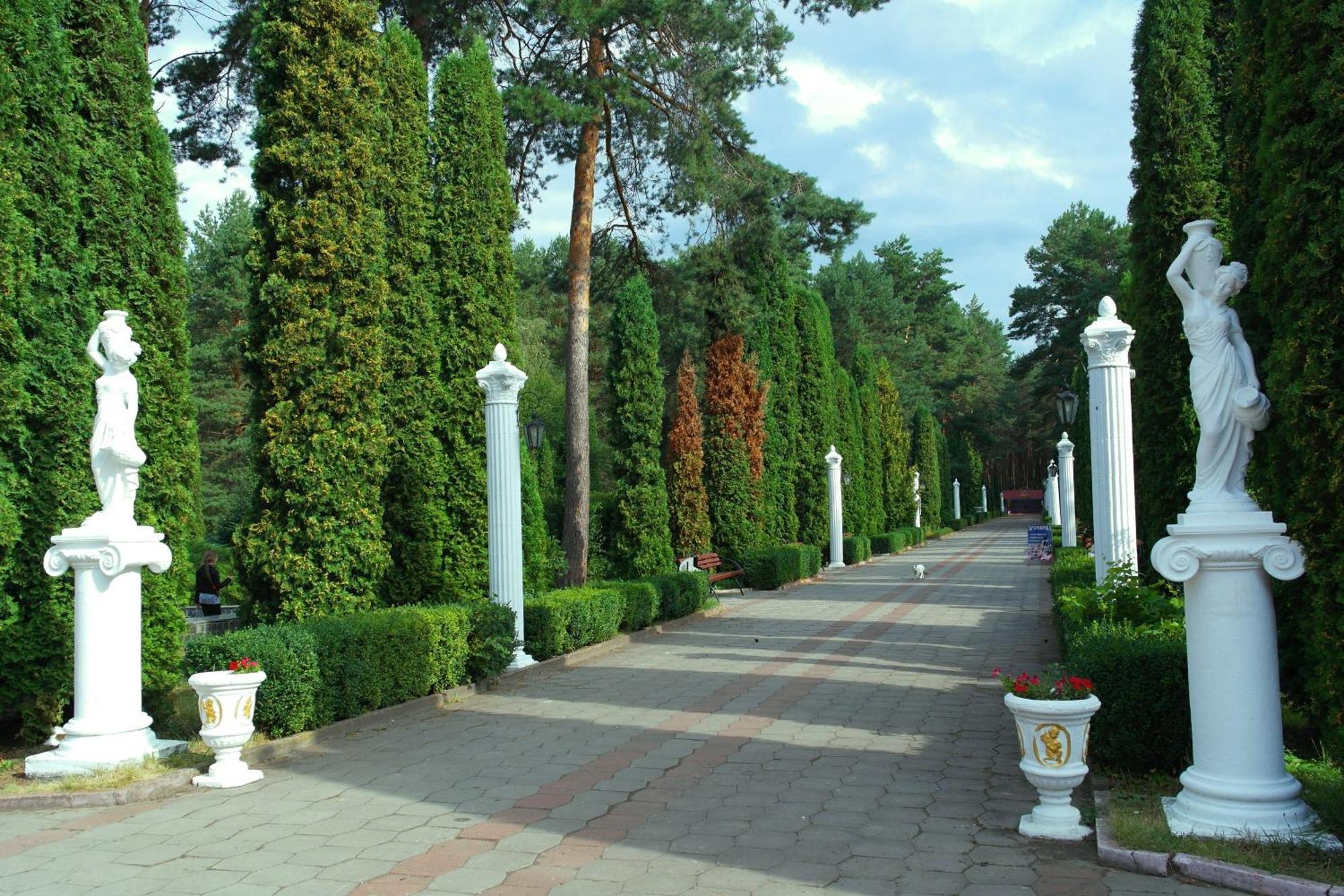 Санаторій Червона Калина Zhobryn Esterno foto